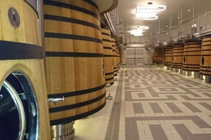 From Bordeaux: Private Tour in the Chateaux of Saint-Émilion