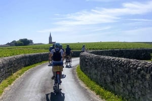 Bordeaux: St-Emilion Vineyards e-Bike Tour with Wine & Lunch