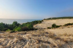 From Bordeaux: Dune du Pilat, Arcachon Bay and Oyster Village Private Tour