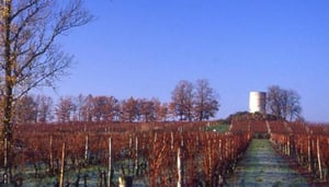 Château Meyrand Lacombe