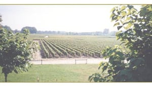 Château Sahuc Lestour