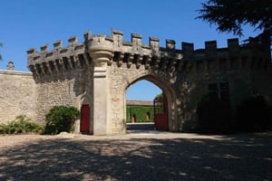 Exclusieve wijnreis langs de kastelen van Saint-Émilion met proeverijen