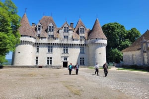 Vanuit Bordeaux: Privétour Monbazillac (kasteel, wijn & eten in de Dordogne)