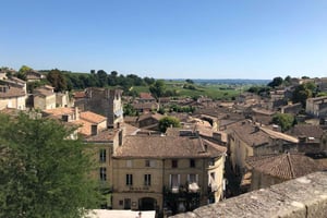 Vanuit Bordeaux: Een dag om de Medoc en Saint-Emilion te bezoeken