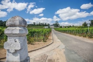 De Excursão de 1 dia para degustação de vinhos em St Emilion