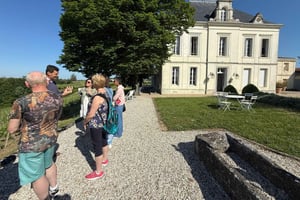 Vanuit Bordeaux: privétour in de kastelen van Saint-Émilion