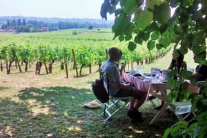 Z Bordeaux: jednodniowa wycieczka do Saint-Émilion z degustacją i lunchem