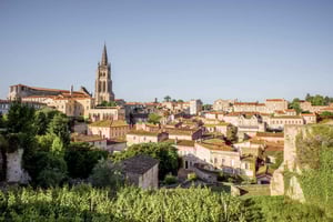 Vanuit Bordeaux: Saint-Émilion halfdaagse tour met wijnproeverij