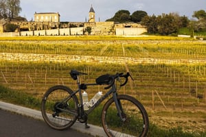 E-bike journey from Bordeaux to Saint-Emilion with lunch
