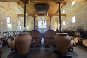 Saint-Emilion: halvdagstur til klassificerede vingårde