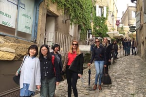 From Bordeaux: Saint-Emilion Guided Wine Tasting Tour