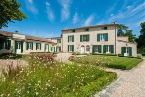 Sensory Tour of Bordeaux and Tasting in a Bordeaux vineyard