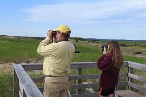 ボストンからの日帰り旅行クレイン・エステートでのガイド付きネイチャーウォーク