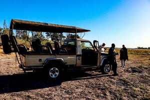 4 dagers safari i avsidesliggende Chobe: Nogatshaa og Poha
