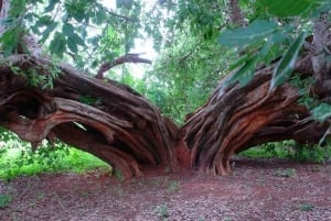 Taide & käsityökierros