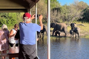 Chobe Day Safari and Boat Safari From Victoria Falls - 8hrs