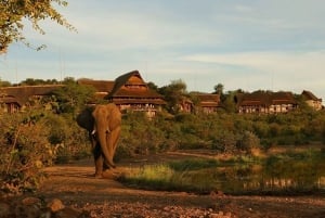 Wycieczka 1-dniowa do Chobe z miasta Livingstone