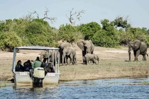 Chobe heldagsutflykt - Chobe nationalpark Botswana