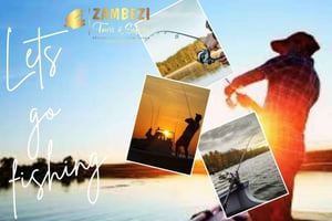 Fiskeudflugt - Chobe-floden