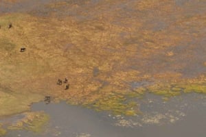 Från Kasane: Safariflygning med helikopter (Chobe nationalpark)