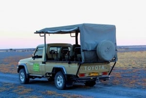 Da Maun: tour di safari di 3 giorni nella riserva Moremi Game Reserve