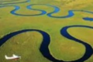 Dagsudflugt med mokoro ved Okavango-deltaet