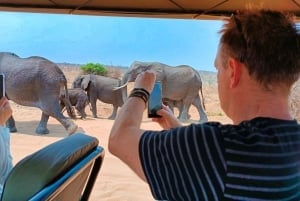 Victoria Falls: Quadripoint og Chobe dagsudflugt med frokost