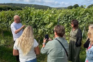 Brighton: excursão a pé pela região vinícola de Sussex com degustações