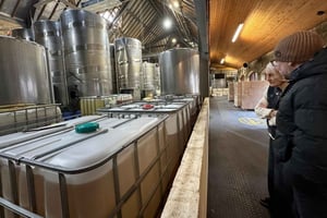 Von Brighton aus: Denbies Vineyard Wein Tour und Verkostung