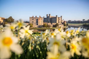 Fra Brighton: Leeds Castle & Canterbury Heldagsudflugt