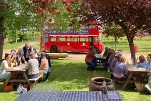 Z Brighton: Sussex Wine Tour w zabytkowym autobusie z lunchem