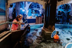 Ingresso para o Sea Life Brighton