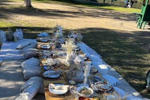 Brisbane Luxurious pop up picnic at the City Botanic gardens