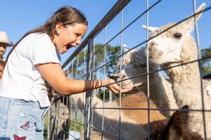 Brisbane: Trevena Glen Farm 1hr Animal Experience