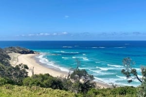 North Stradbroke Island Wildlife Adventure