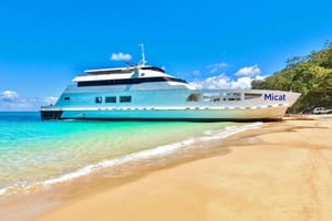 From Brisbane: Moreton Island Full-Day Trip