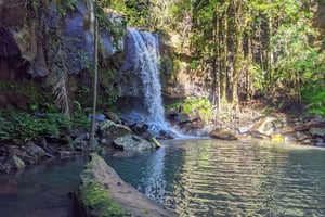From Brisbane: Tamborine Mountain and Paradise Point Tour