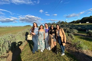 Sirromet Winery Tour from Brisbane