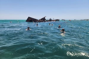 Tangalooma Snorkel Tour