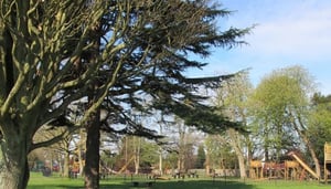 Blaise Castle Estate