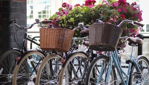 Cycle the City Tours