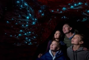 Te Anau: Glowworm Caves Guided Tour