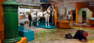 Top 10 choses à faire