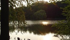 Arboretum de Tervuren