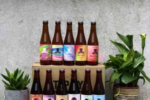 Brussels: micro brewery & distillery tour + beer tasting