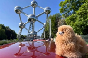 Dagstur til Brussel fra Paris eller Amsterdam med minivan