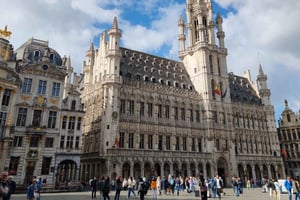 Жемчужины Брюсселя: частная экскурсия по городу с местным экскурсоводом