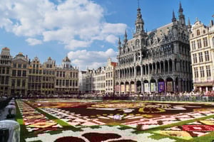 Fra Amsterdam: Privat sightseeingtur til Brussel