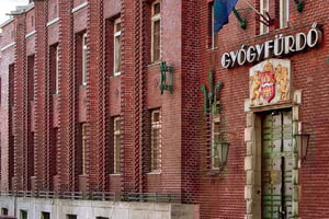 Будапешт: посещение термальных ванн Дандар на целый день