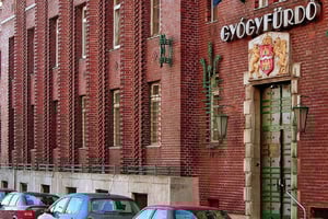 Budapest: Dandar termalbad heldagsinngang